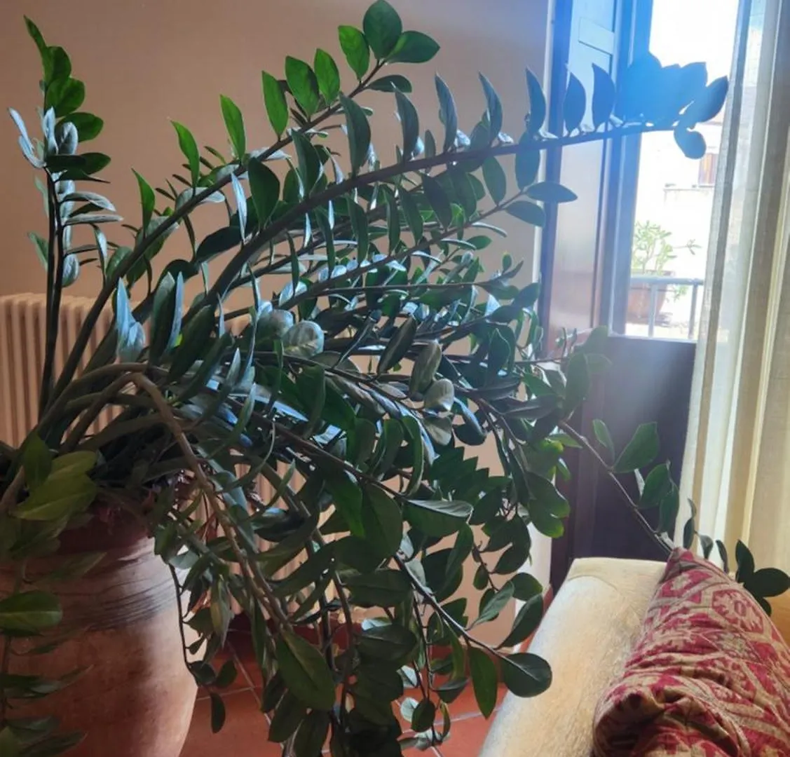 Note Di Palermo Loft Apartman Olaszország